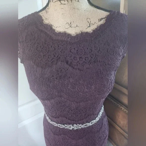Gorgeous Sleeveless Purple Lace Dress by Betsy & Adam Sz 6 - Picture 10 of 12